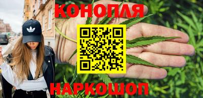 мет Кингисепп