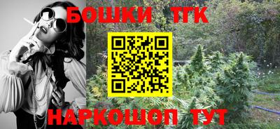 мет Кингисепп