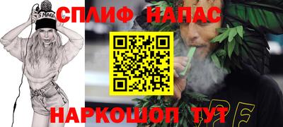 мет Кингисепп