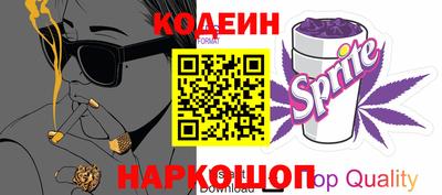 мет Кингисепп