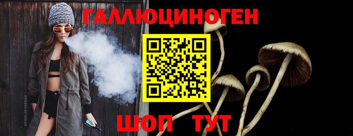 где купить наркотик  Псилоцибиновые грибы Magic Shrooms  Галлюциногенные грибы прущие грибы  Вход с VPN  Карабулак 